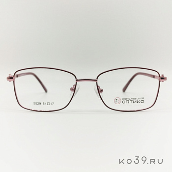 Оправа корригирующих очков "КОРОЛЕВСКАЯ ОПТИКА" (металл) 5529 С2