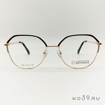 Оправа корригирующих очков "КОРОЛЕВСКАЯ ОПТИКА" (металл) 2851 С3